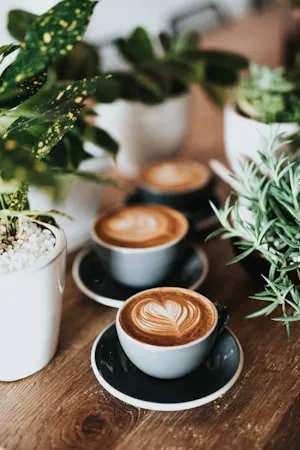 Tried that new coffee place on Nørrebro this morning. Espresso was solid, but wow it’s expensive 😅 anyone else been?